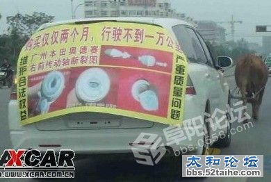 牛拉汽车1.jpg