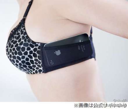 可以用来携带IPHONE的BRA.jpg