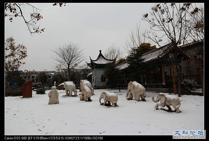 nEO_IMG_群象踏雪.jpg