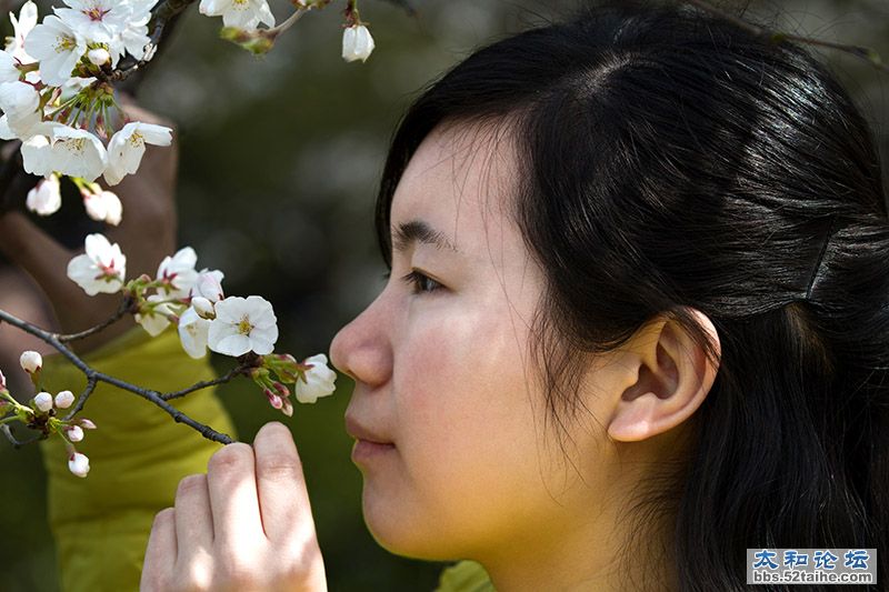 武大樱花节10.jpg