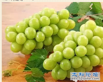 QQ截图20150728154012.png