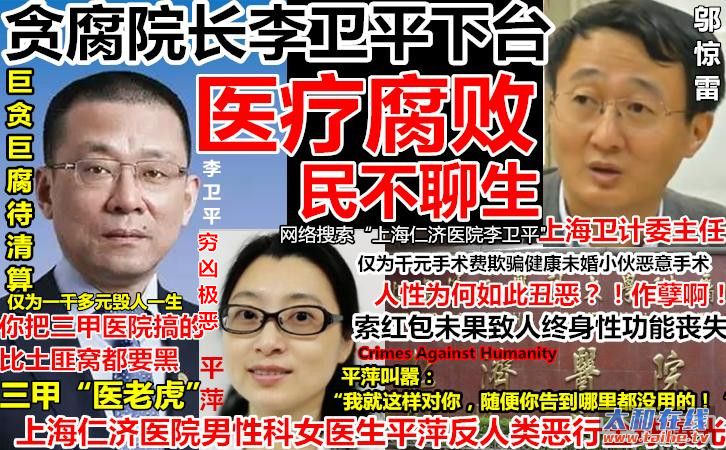 13向上海卫计委主任邬惊雷举报上海仁济医院院长李卫平贪腐成性女医生平萍残害平民.JPG